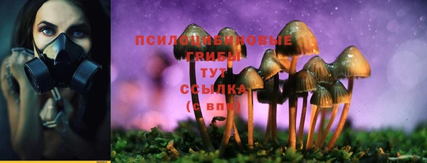 амф Алексеевка