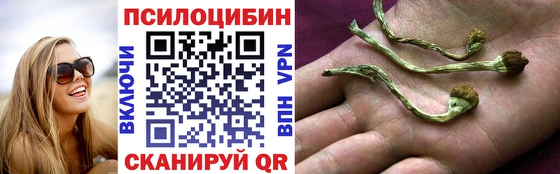 наркотики Удомля Галлюциногенные грибы мицелий