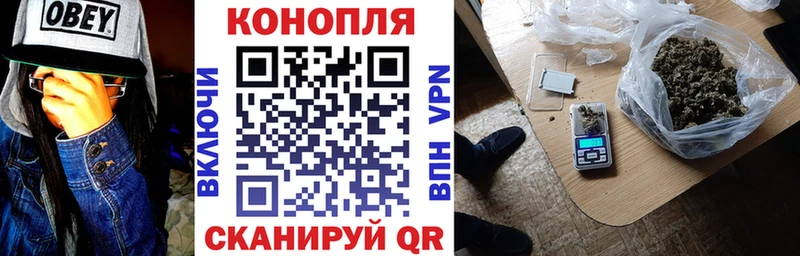 Конопля гибрид  Удомля 